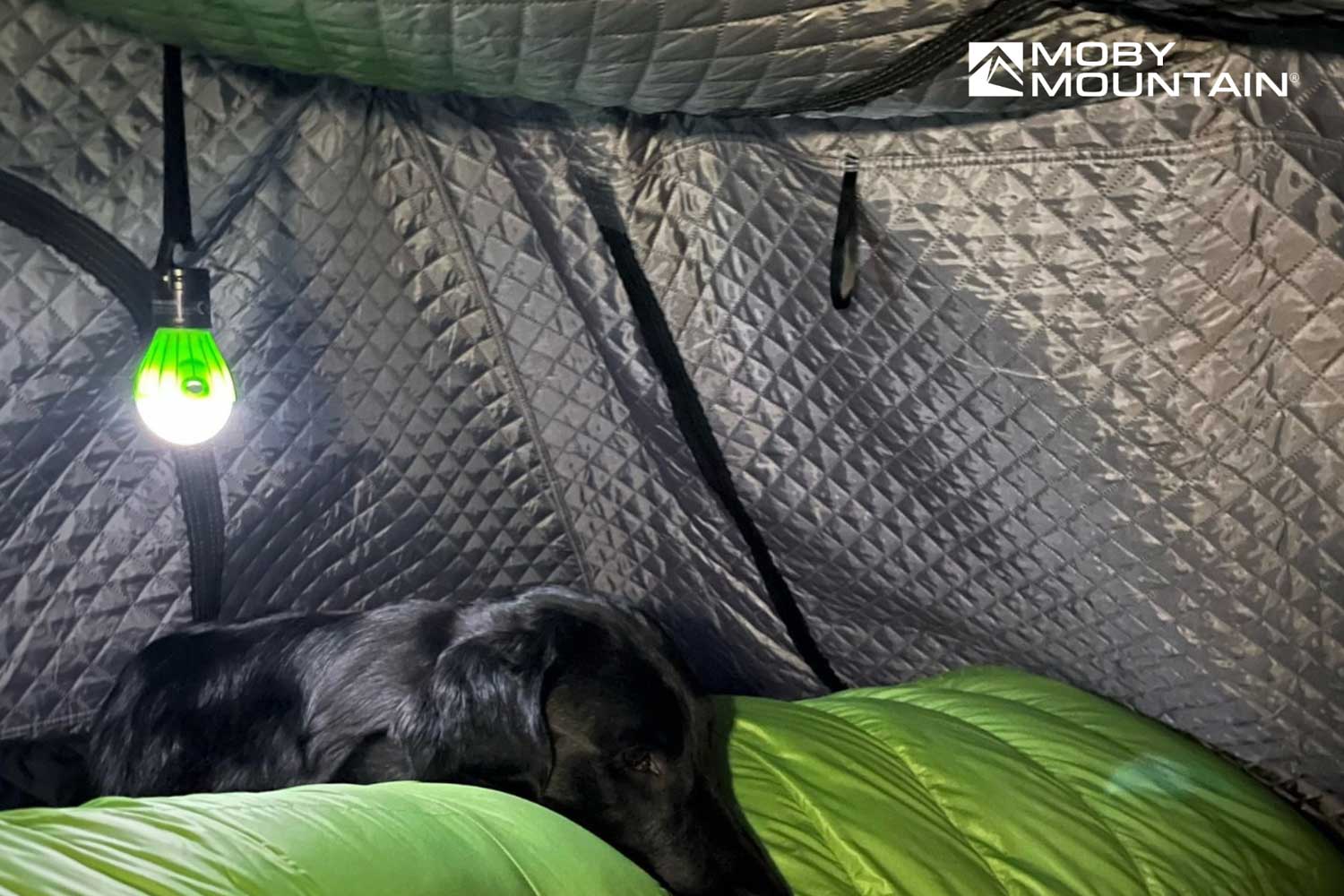 Moby Mountain - Thermo Innezelt für Peak XL/XXL Dachzelt